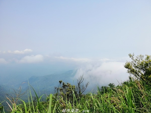 【宜蘭礁溪】朝聖抹茶山沒那麼容易。 No83小百岳~三角崙山