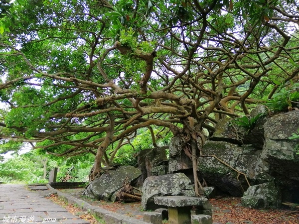 IMG_20210404_103050.jpg IMG_20210404_103050.jpg