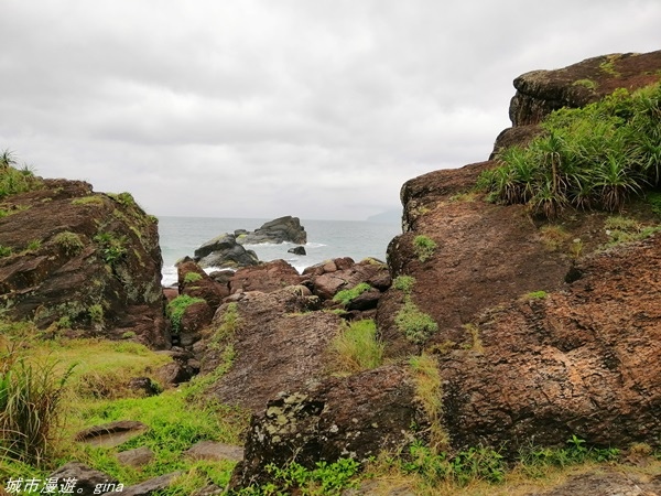 IMG_20210404_103420.jpg IMG_20210404_103420.jpg