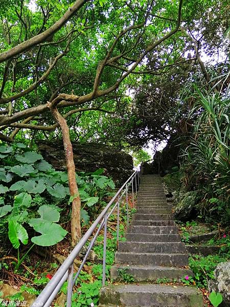 IMG_20210404_104939.jpg IMG_20210404_104939.jpg