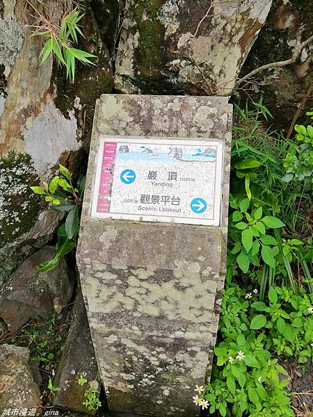 IMG_20210404_105231.jpg IMG_20210404_105231.jpg