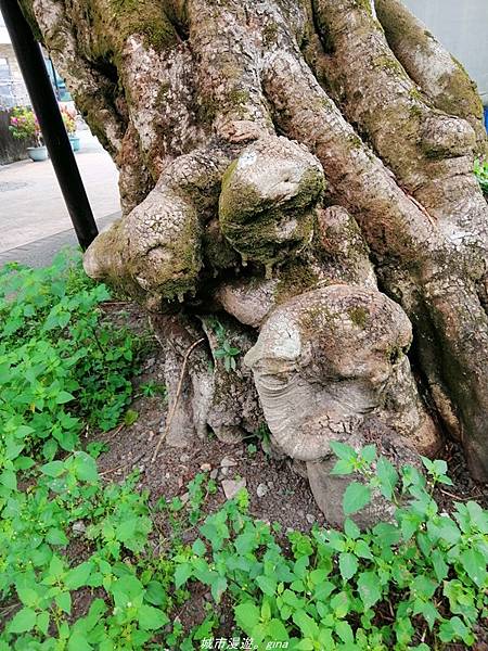 【宜蘭頭城】老街散策。 頭城老街