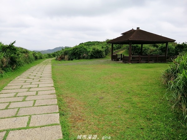 【新北貢寮】壯麗海景。 龍洞灣岬步道