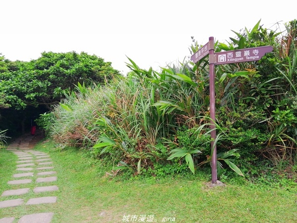 【新北貢寮】壯麗海景。 龍洞灣岬步道