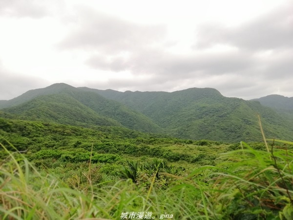 【新北貢寮】壯麗海景。 龍洞灣岬步道