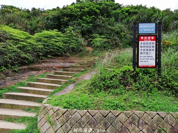 【新北貢寮】壯麗海景。 龍洞灣岬步道