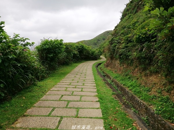 【新北貢寮】壯麗海景。 龍洞灣岬步道