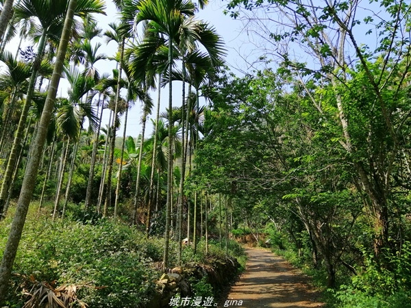 【南投魚池】虐腳的陡上階梯。 小百岳集起來。 No52小百岳