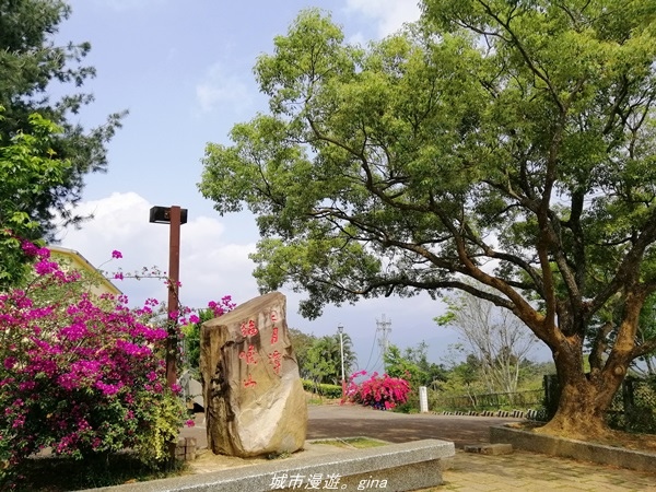 IMG_20210410_120810.jpg IMG_20210410_120810.jpg