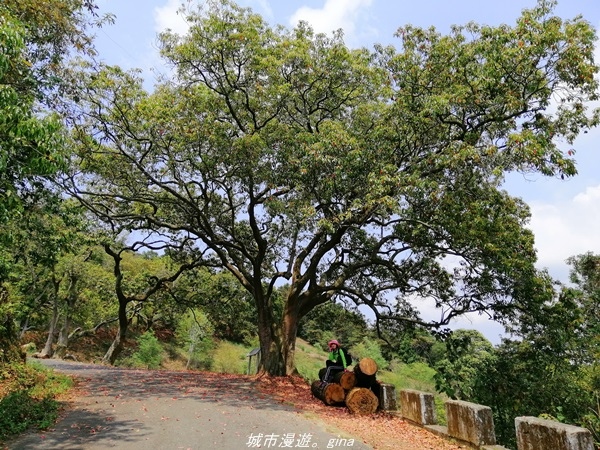 IMG_20210410_120815.jpg IMG_20210410_120815.jpg