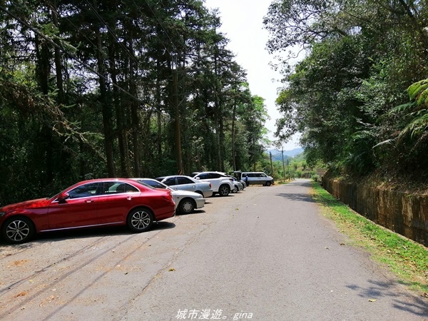 IMG_20210410_120820.jpg IMG_20210410_120820.jpg