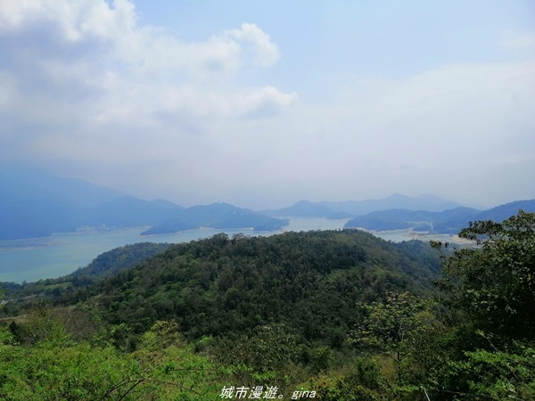 IMG_20210410_120814.jpg IMG_20210410_120814.jpg