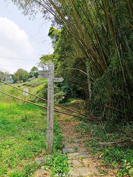 【南投魚池】親民的賞景步道。 小百岳集起來。 No49小百岳