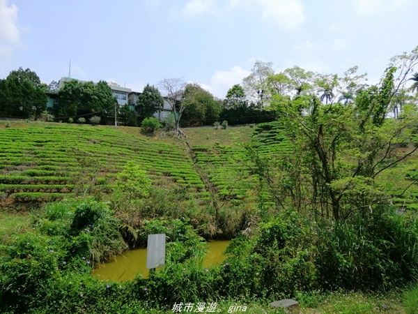 IMG_20210410_121108.jpg IMG_20210410_121108.jpg