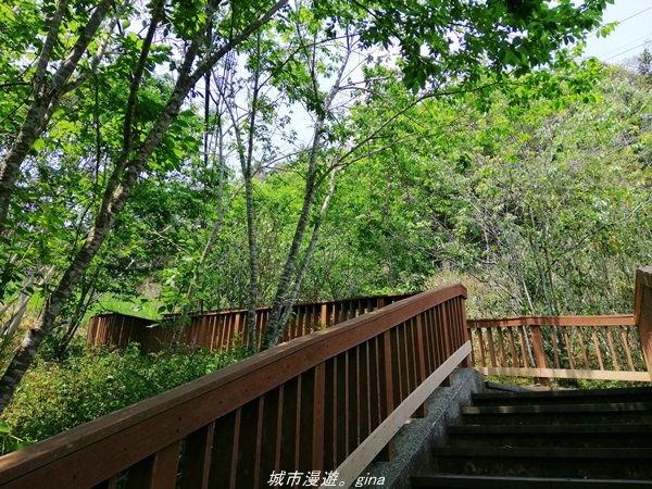 IMG_20210410_121349.jpg IMG_20210410_121349.jpg