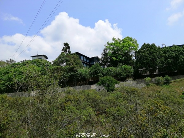 IMG_20210410_121208.jpg IMG_20210410_121208.jpg