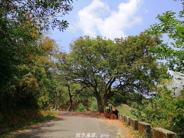 IMG_20210410_121811.jpg IMG_20210410_121811.jpg