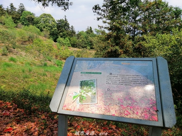 IMG_20210410_122112.jpg IMG_20210410_122112.jpg