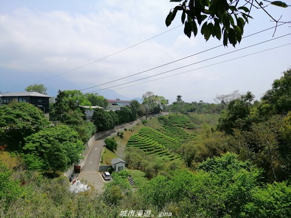 IMG_20210410_121610.jpg IMG_20210410_121610.jpg