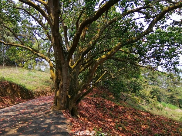 IMG_20210410_122359.jpg IMG_20210410_122359.jpg