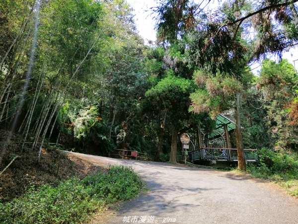 IMG_20210410_122948.jpg IMG_20210410_122948.jpg