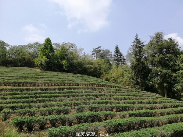 IMG_20210410_124931.jpg IMG_20210410_124931.jpg