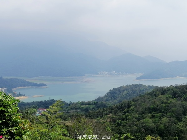 IMG_20210410_125236.jpg IMG_20210410_125236.jpg