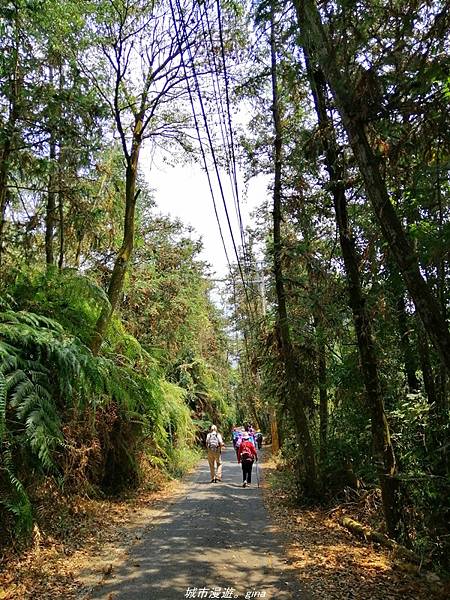 IMG_20210410_124300.jpg IMG_20210410_124300.jpg