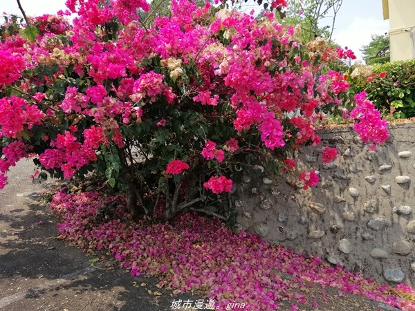 IMG_20210410_125117.jpg IMG_20210410_125117.jpg