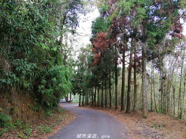 IMG_20210410_140853.jpg IMG_20210410_140853.jpg