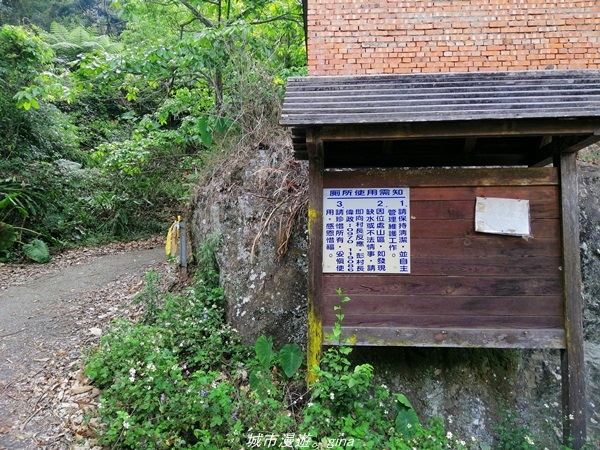 IMG_20210410_153913.jpg IMG_20210410_153913.jpg