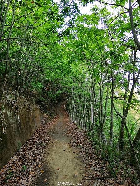 IMG_20210410_153951.jpg IMG_20210410_153951.jpg