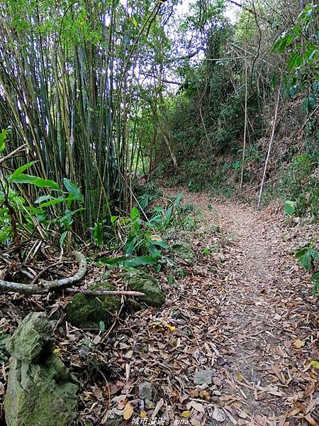 IMG_20210410_154619.jpg IMG_20210410_154619.jpg