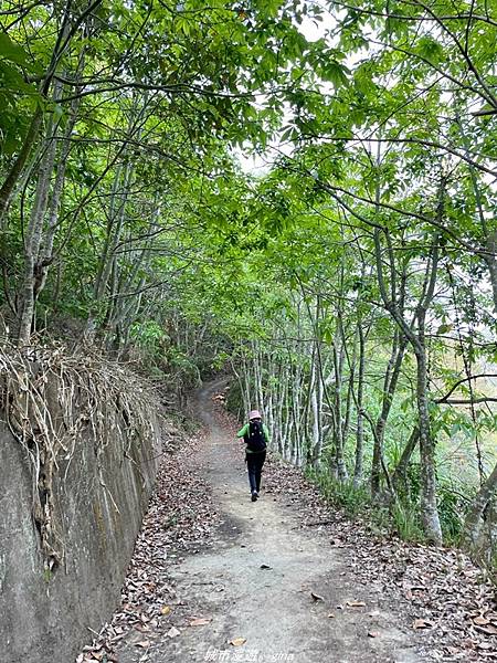 IMG_20210410_153952.jpg IMG_20210410_153952.jpg