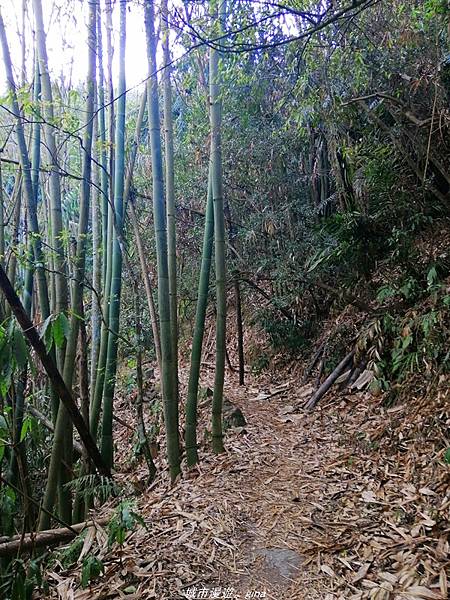 IMG_20210410_155609.jpg IMG_20210410_155609.jpg