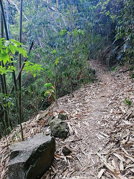 IMG_20210410_155629.jpg IMG_20210410_155629.jpg