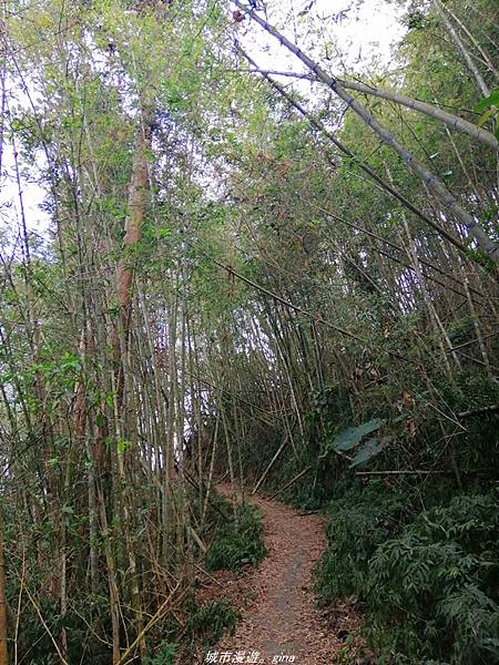 IMG_20210410_160115.jpg IMG_20210410_160115.jpg