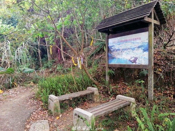 IMG_20210410_161607.jpg IMG_20210410_161607.jpg