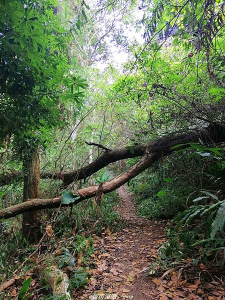 IMG_20210410_155946.jpg IMG_20210410_155946.jpg