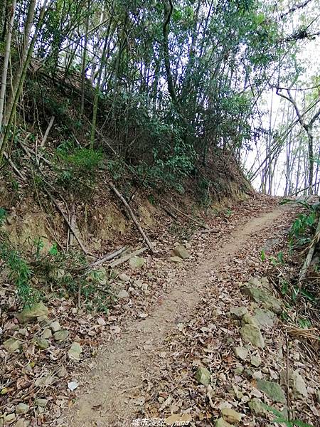 IMG_20210410_160316.jpg IMG_20210410_160316.jpg