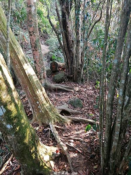 IMG_20210410_162225.jpg IMG_20210410_162225.jpg