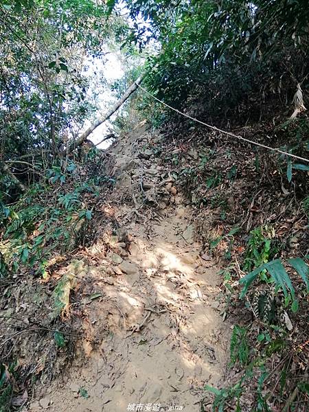 IMG_20210410_162311.jpg IMG_20210410_162311.jpg