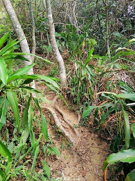 IMG_20210410_161852.jpg IMG_20210410_161852.jpg