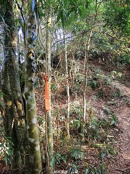 IMG_20210410_162239.jpg IMG_20210410_162239.jpg