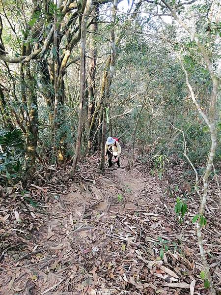 IMG_20210410_162534.jpg IMG_20210410_162534.jpg