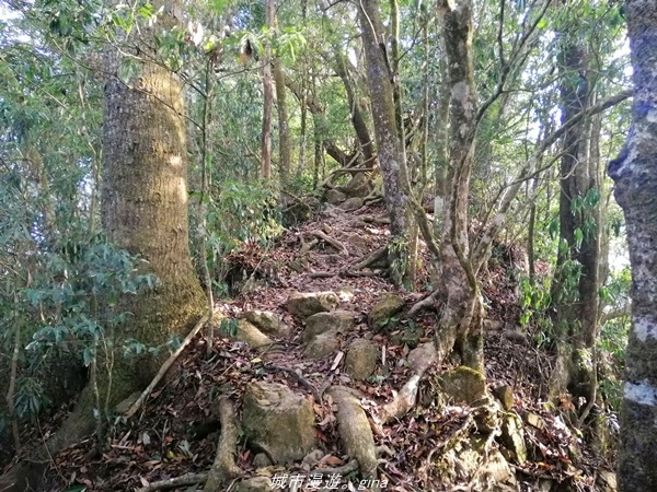 IMG_20210410_163051.jpg IMG_20210410_163051.jpg