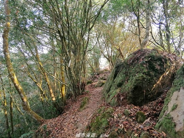 IMG_20210410_164114.jpg IMG_20210410_164114.jpg