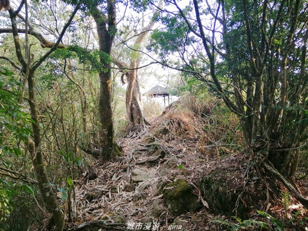 IMG_20210410_164156.jpg IMG_20210410_164156.jpg