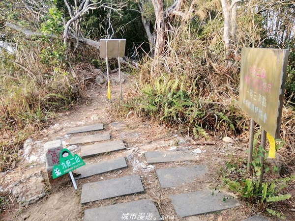 IMG_20210410_165138.jpg IMG_20210410_165138.jpg