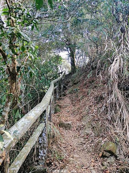 IMG_20210410_162743.jpg IMG_20210410_162743.jpg